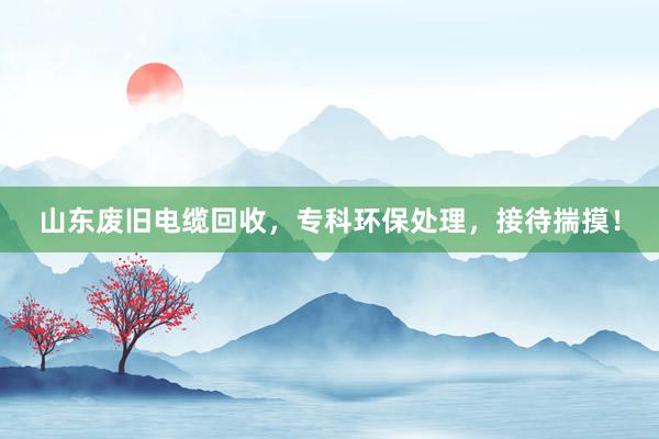 山东废旧电缆回收，专科环保处理，接待揣摸！