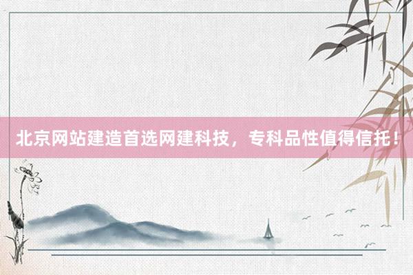 北京网站建造首选网建科技，专科品性值得信托！