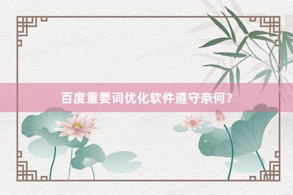 百度重要词优化软件遵守奈何？