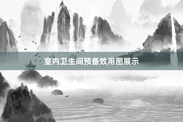室内卫生间预备效用图展示