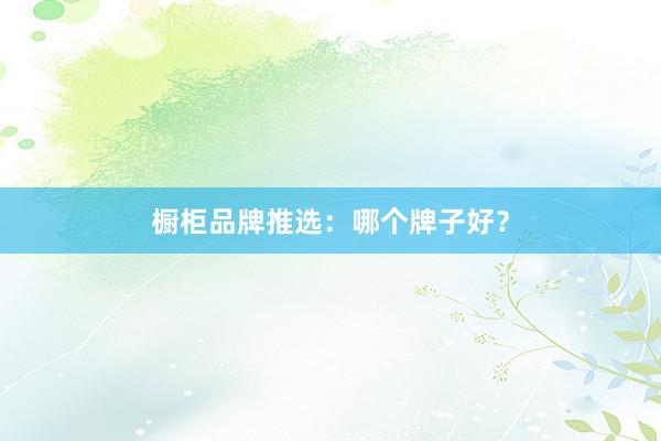 橱柜品牌推选：哪个牌子好？