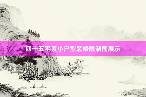 四十五平素小户型装修限制图展示