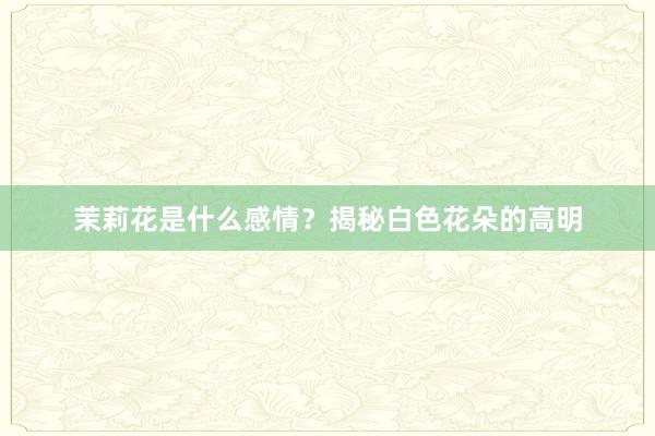 茉莉花是什么感情？揭秘白色花朵的高明